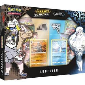 COFFRET VOIE DU MAITRE :...