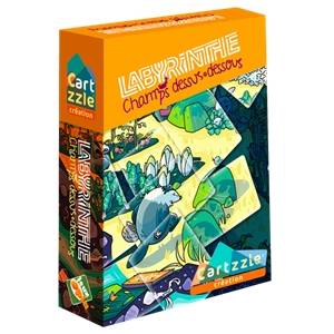 PUZZLE CARTZZLE LABYRINTHE CHAMPS DESSUS-DESSOUS