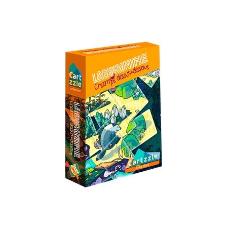 PUZZLE CARTZZLE LABYRINTHE CHAMPS DESSUS-DESSOUS
