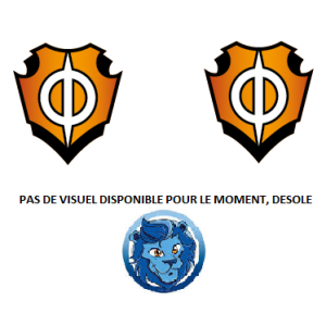 LOT DE 2 DECK COMMANDER...