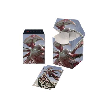 DEFIS NATURE CONSTELLATIONS