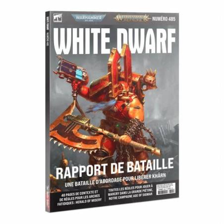 WHITE DWARF 519