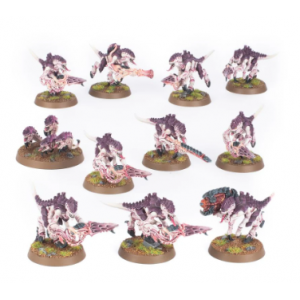 WARHAMMER 40K : TERMAGANTS V10JEUX DE FIGURINES Gobez la biomasse s...