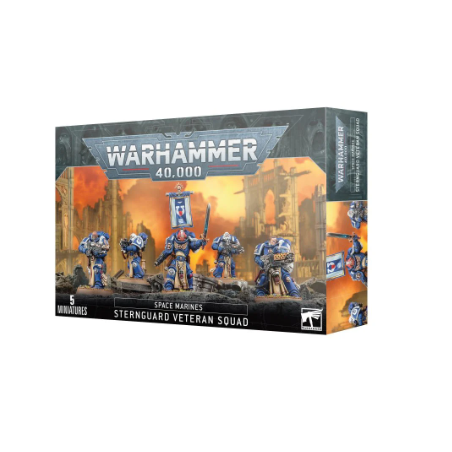 WARHAMMER 40K : ESCOUADE DE VETERANS STERNGUARDSJEUX DE FIGURINES T...