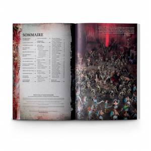 WARHAMMER AGE OF SIGMAR : TOME DE BATAILLE: FLESH-EATER COURTSJEUX ...