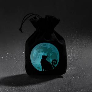 BOURSE A DES CATS : CHAT NOIR (GLOW IN THE DARK)