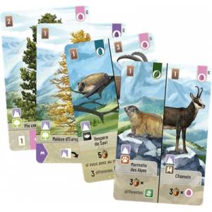 FORET MIXTE : ALPINE