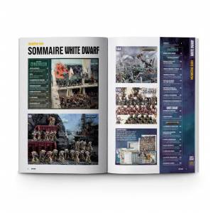WHITE DWARF 500