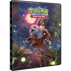 POKEMON EV06 : CAHIER RANGE-CARTES POKEMON - 80C.ACCESSOIRES Petit ...