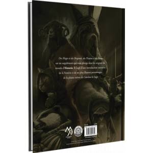 HISTORIA : DES MAGES ET DES BRIGANDSJEUX DE RÔLES Des Mages et des ...