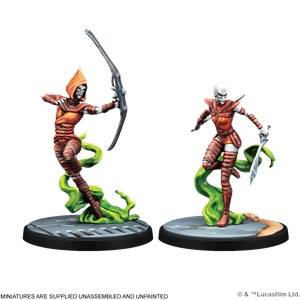 SW SHATTERPOINT : SORCIERES DE DATHOMIRJEUX DE FIGURINES Escouade p...