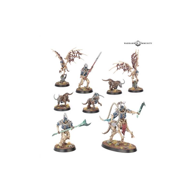 WARHAMMER WARCRY : TERATIC COHORTJEUX DE FIGURINES Chassez les viva...