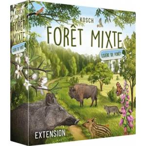 JEUX DE SOCIETE FORET MIXTE LISIERE DE FORET EXT