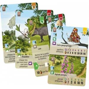 JEUX DE SOCIETE FORET MIXTE LISIERE DE FORET EXT