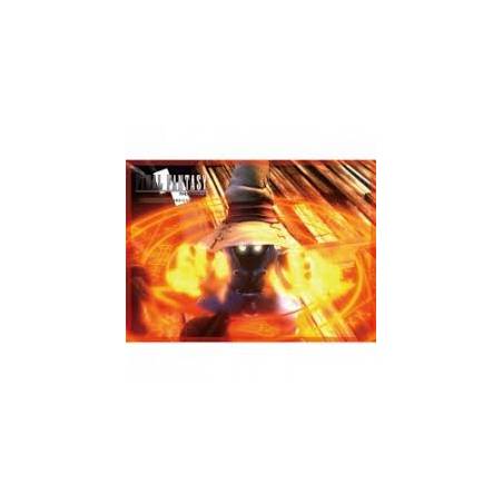 FINAL FANTASY 9 - 60 PROTEGE-CARTES