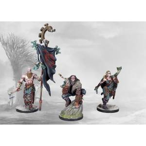 CONQUEST - NORDS TACTICAL RETINUE