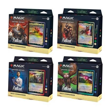 LOT COMMANDER FALLOUT FR