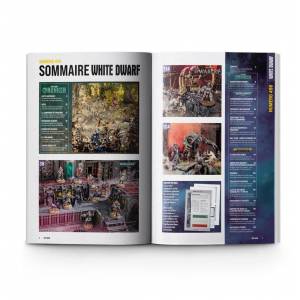 WHITE DWARF 497