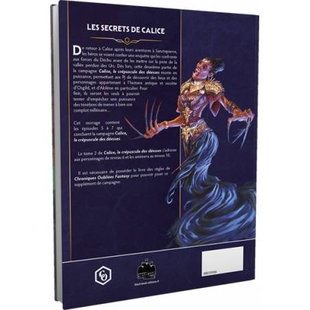 CHRONIQUES OUBLIEES FANTASY 2 : CALICE, LE CREPUSCULE DES DEESSES -...