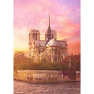 PUZZLE MYSTERE 1000 PIECES - NOTRE DAME 200 ANS PLUS TARDJEUX DE SO...