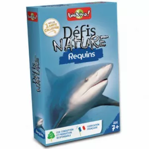 DEFIS NATURE REQUINSENFANTS