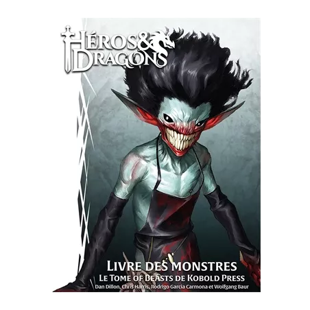 HEROS & DRAGONS: LIVRE DES MONSTRESHÉROS & DRAGONS