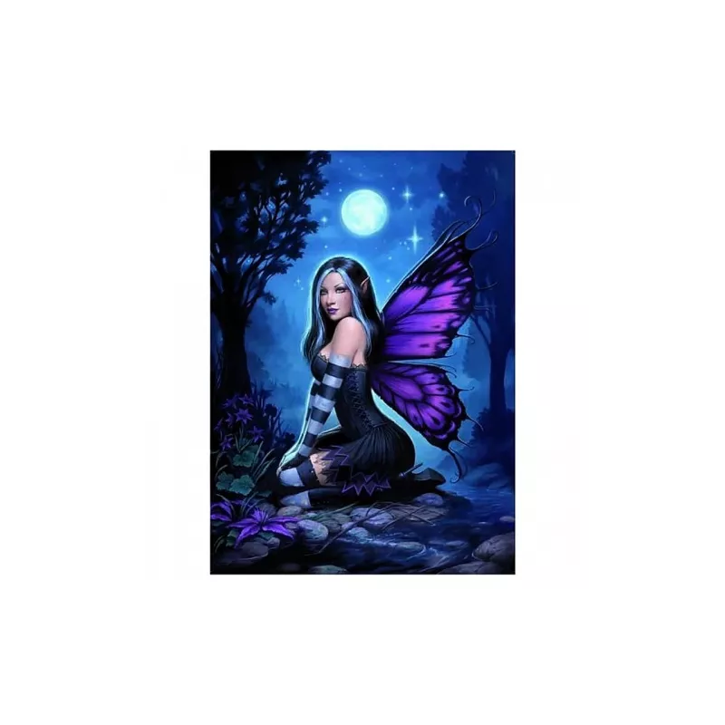 NIGHT FAIRY 1000PCSJEUX D'ENIGME NIGHT FAIRY 1000PCSJEUX D'ENIGME
