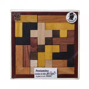 PENTAMINO EVOLUTIFJEUX DE LOGIQUE PENTOMINO est un jeu de logique e...