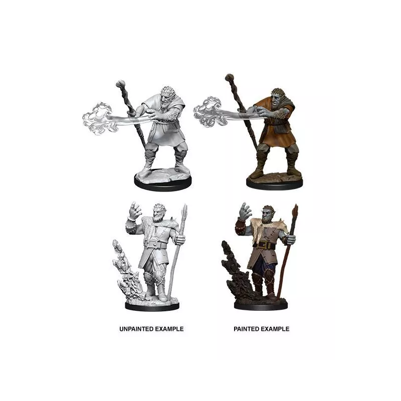 D&D FIRBOLG DRUID