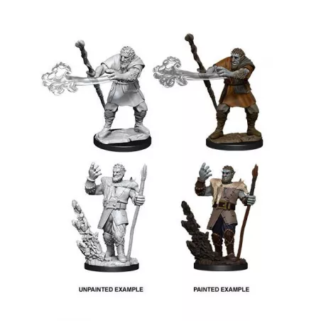 D&D FIRBOLG DRUID
