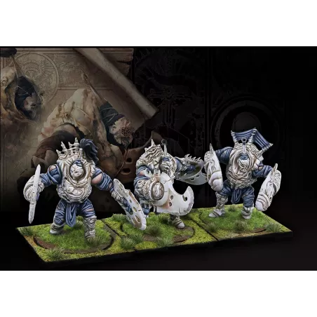 THE SPIRES BRUTE DRONES