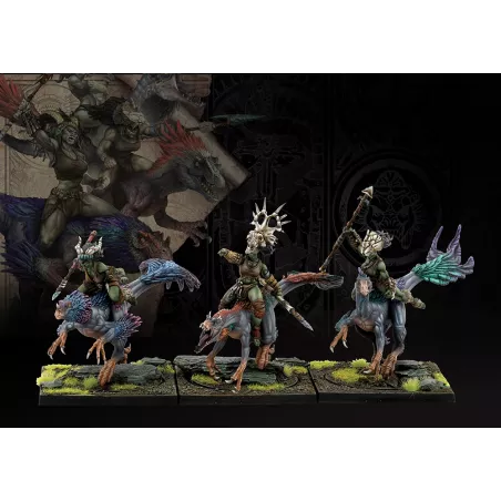W'ADRHUN RAPTOR RIDERS
