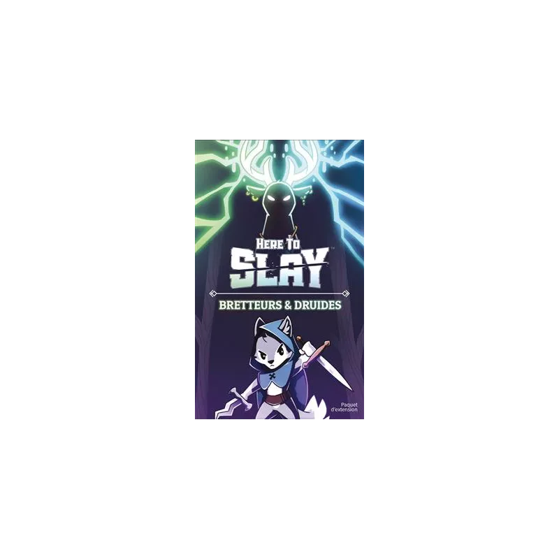 HERE TO SLAY BRETTEURS & DRUIDES EXT
