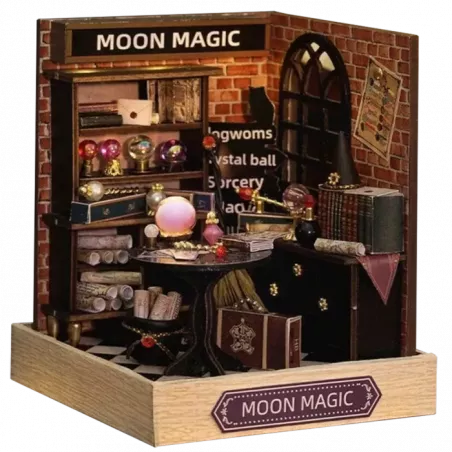 BOOK NOOK - LE CABINET DE VOYANTE