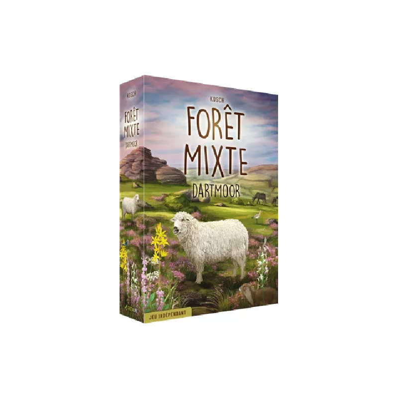 EN FAMILLE FORET MIXTE DARTMOOR EN FAMILLE FORET MIXTE DARTMOOR