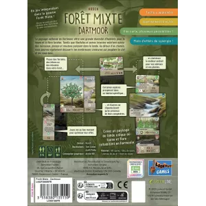 FORET MIXTE DARTMOOR