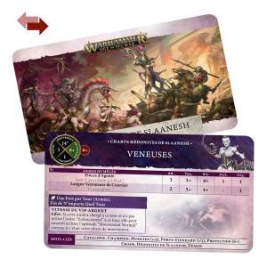 WARHAMMER AGE OF SIGMAR - CARTES DE CHARTES - HEDONITES OF SLAANESH
