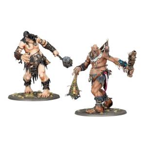WARHAMMER AGE OF SIGMAR - BAGARREURS DE BEHEMAT
