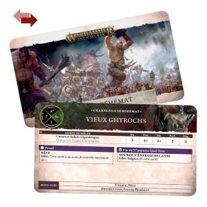 WARHAMMER AGE OF SIGMAR - CARTES DE CHARTES : SONS OF BEHEMAT