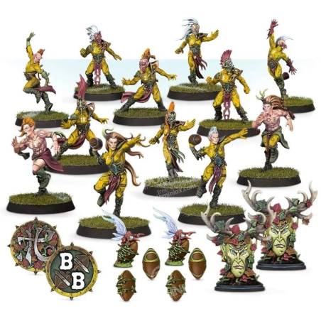 BLOOD BOWL EQUIPE ATHELORN AVENGERS