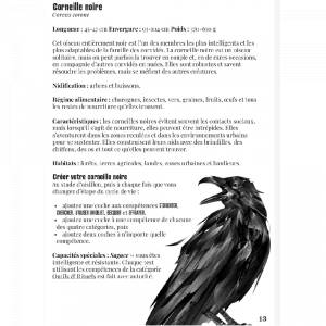 LA VOIE DU CORBEAU 