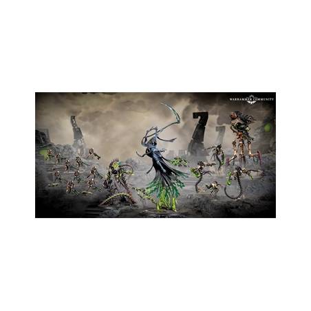 WARHAMMER 40K : NECRONS - DISCIPLES DU NEKROSOR